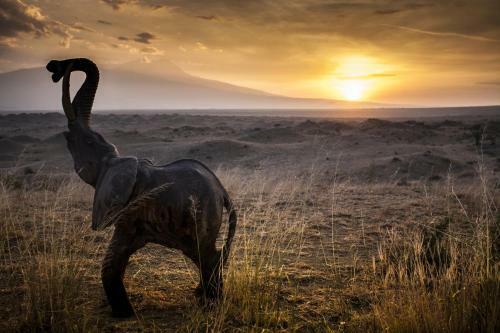 Original Maasai Lodge ? Africa Amini Life