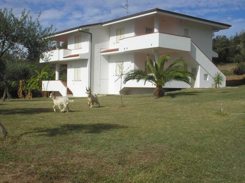 Agroturismo Agriturismo Seaview