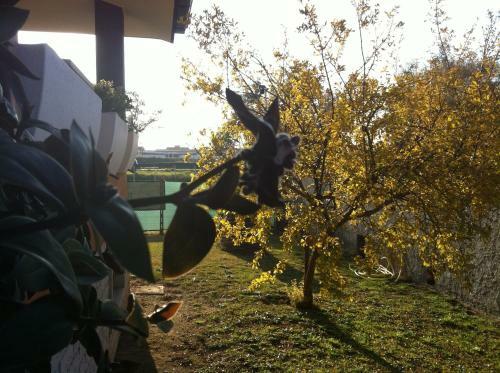 B&B Insula Portus