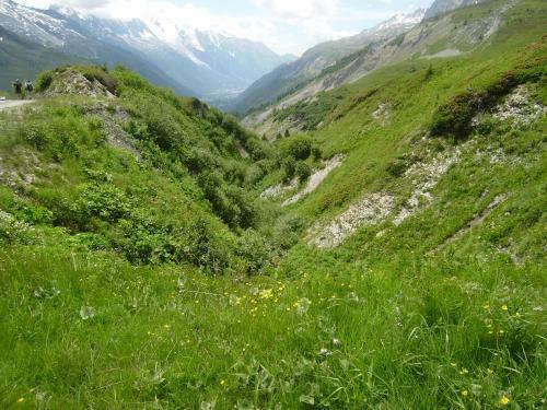 Apartamento Studio Les Drus/studio Du Brevent