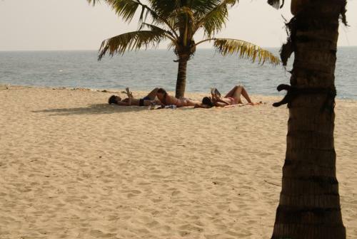 A Beach Symphony
