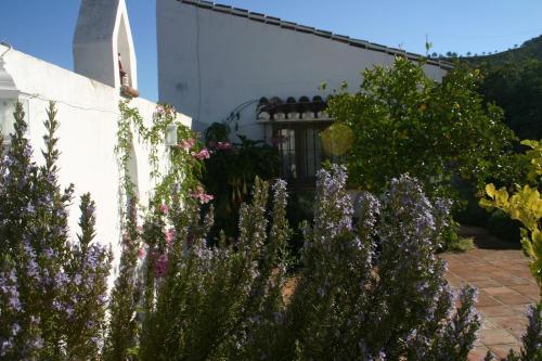 Bed And Breakfast Nuestro Cielo