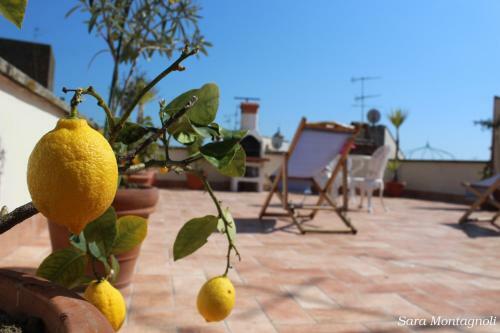 La Terrazza