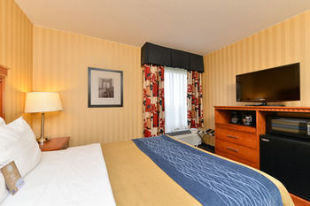 Hotel Comfort Inn Alexandria