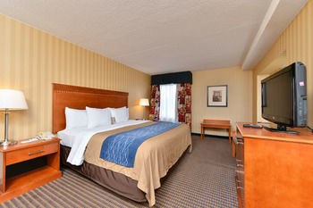 Hotel Comfort Inn Alexandria