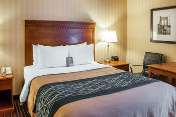 Hotel Comfort Inn Alexandria