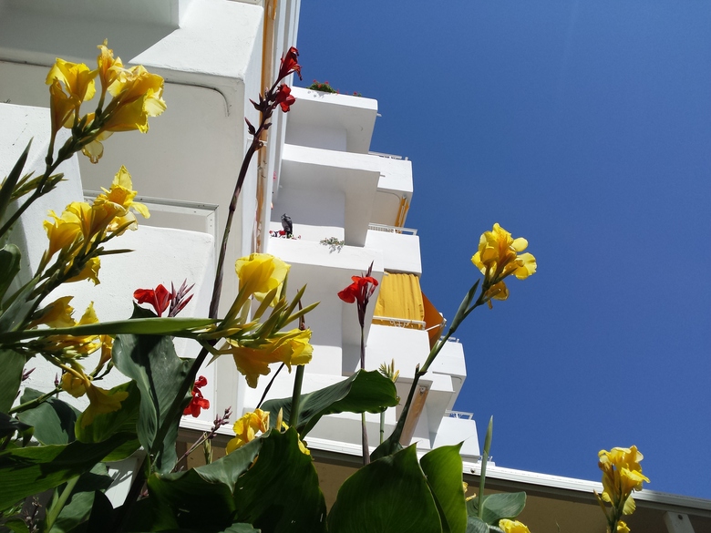 Apartamentos Hamilton Court