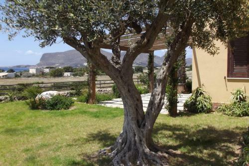 Agroturismo Il Giardino Delle Aloe
