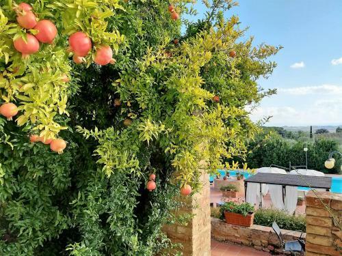 Agroturismo Villa Curina Resort