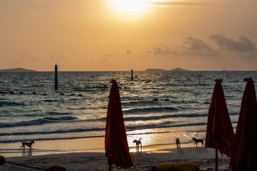 Hotel Xanadu Beach Resort