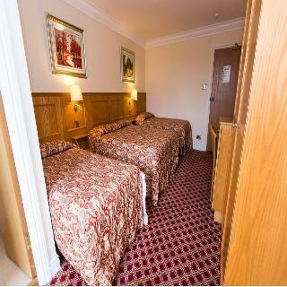 Hotel Viking