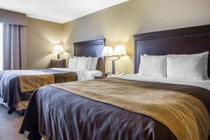 Hotel Comfort Inn And Suites