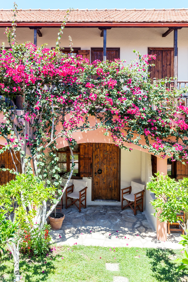 Hotel Rigas