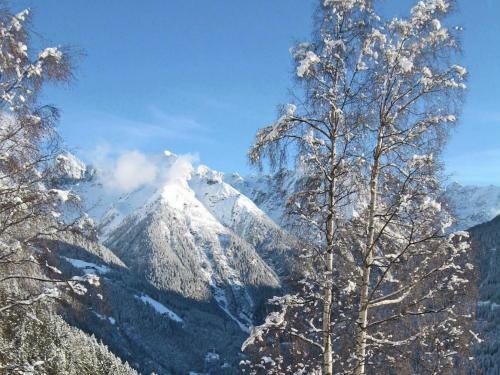 One-bedroom Apartment Poschhof