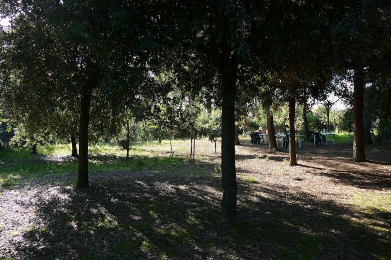 Agroturismo L'antico Casale Di Wendy