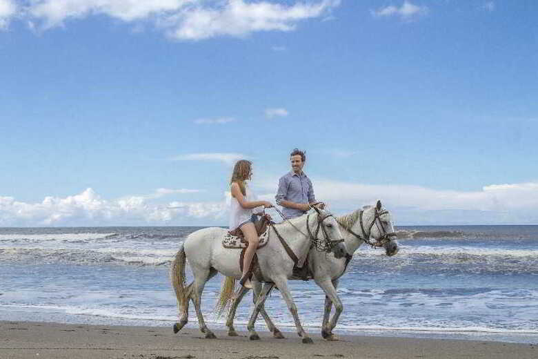 Hotel Barcel� Montelimar