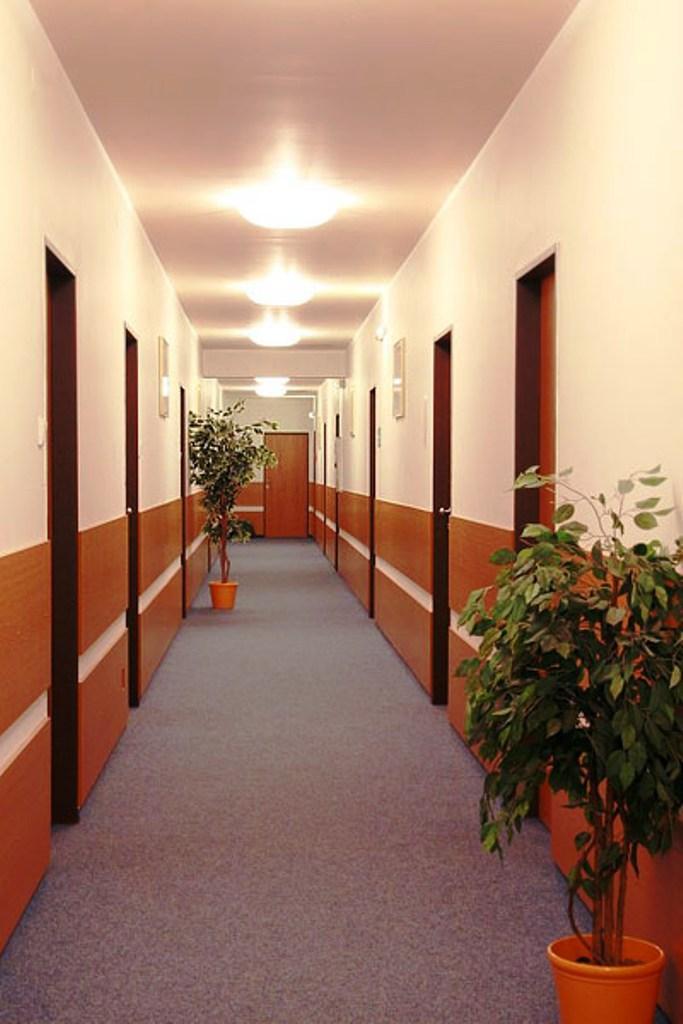 Hotel Adeba