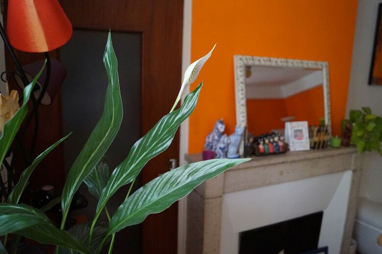 Hotel H�tel De Verdun