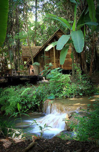 Hotel Rabeang Pasak Treehouse Resort