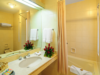 Hotel Plaza Del Bosque