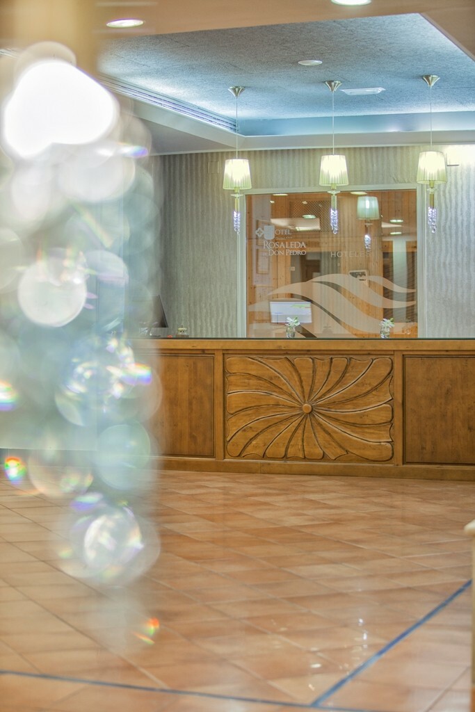 Hotel Rosaleda De Don Pedro