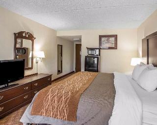 Hotel Comfort Inn And Suites