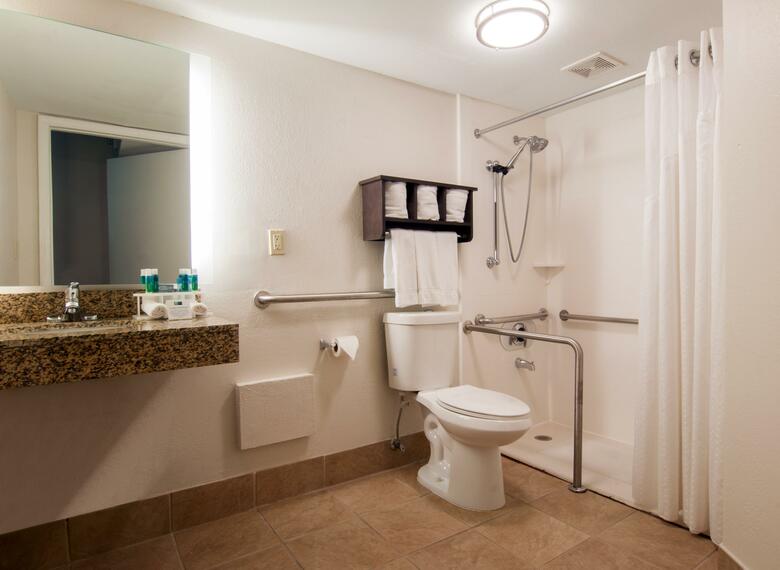 Holiday Inn Express Hotel & Suites Spence Lane