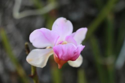 Ming Xuan Xiao Ju Homestay