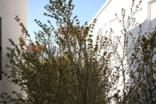 Apartments By The Sea Duce (Omis) - 2821