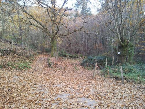 Apartamentos Spa Rural Mirador de Miranda