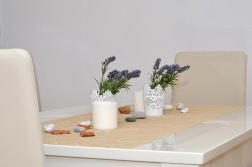 Hostal Apartment Arbanija 5228f