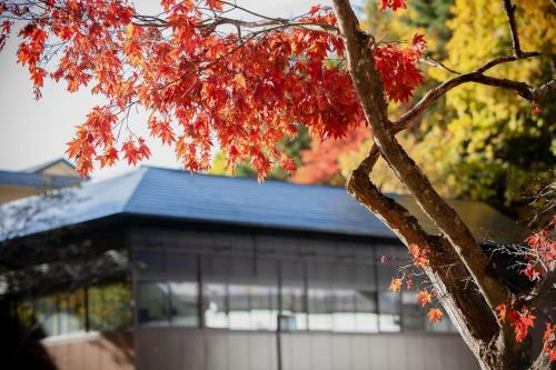 Tateshina Onsen Hotel Shinyu