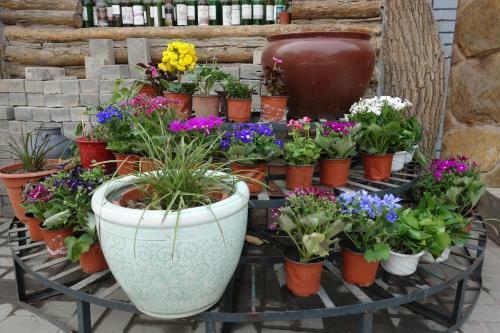 Posada Ming Courtyard