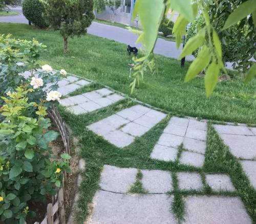 Zhongguancun Daocaoren Apartment
