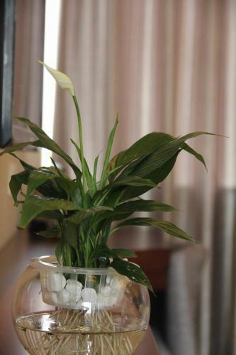 Chengdu Meizhixing Hotel