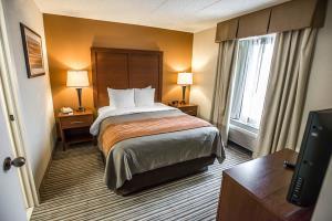 Hotel Comfort Inn At The Park