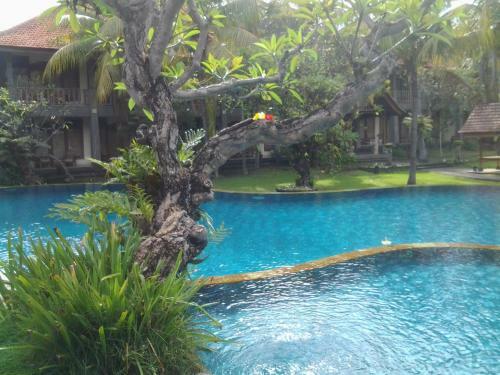 Hotel Nirwana Sea Side Cottages