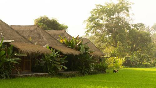 Hotel Sapu Lidi Resort Spa And Gallery