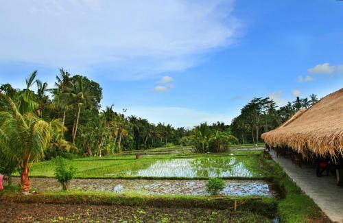 Hotel Sapu Lidi Resort Spa And Gallery