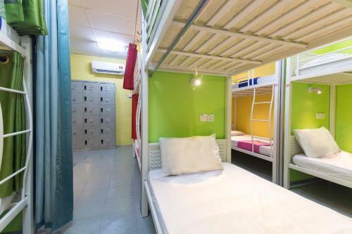 Albergue Milky Coat & Sunny Side