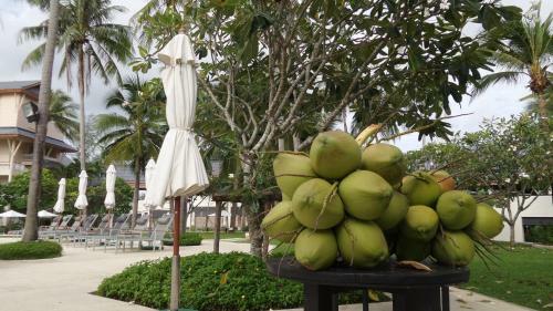 Apartamentos The Allamanda - Unit 1108