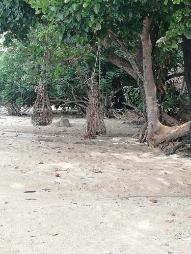 Lodge Last Fisher Koh Jum