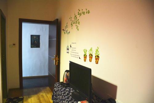 Zhangjiajie Peakcap Backpacker Hostel