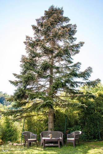 Agroturismo L'amagatall de Cal Tonedor
