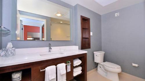 Hotel Residence Inn By Marriott East Lansing