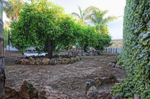 Agroturismo Casa Rural T�pica Andaluza