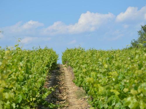 Holiday Home Mazet de Languedoc Et Ardeche