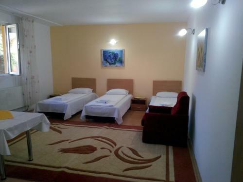 Hostal Pensiunea Vladut Timisoara