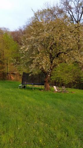 Apartamento Villa Im Park Wachwitzgrund