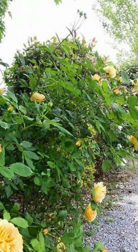 Bed & Breakfast La Clef Du Bonheur